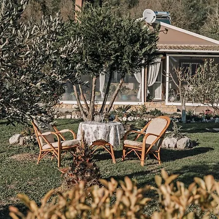 Flower Garden House Vakantiehuis *