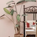 펜션 Flower Garden House